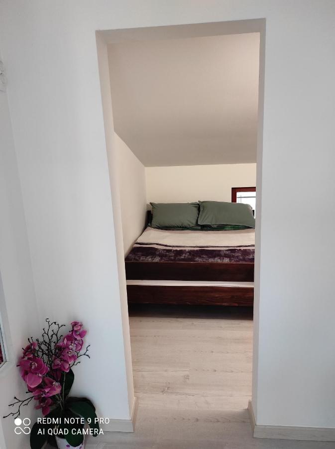 Apartma イゾラ エクステリア 写真