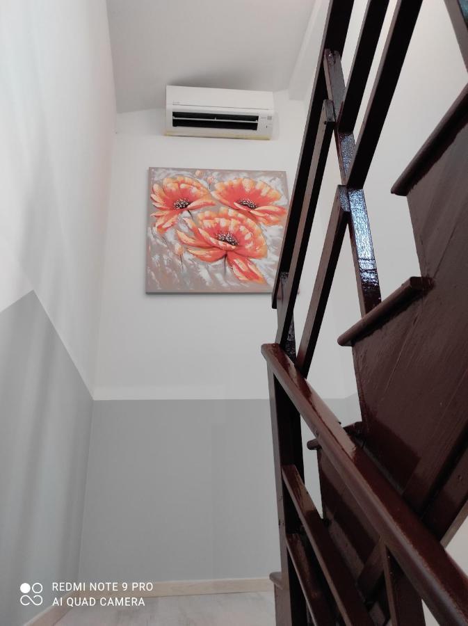 Apartma イゾラ エクステリア 写真